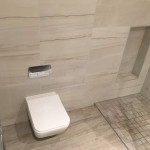 toilet in wet room with shower in Tilehurst, Reading